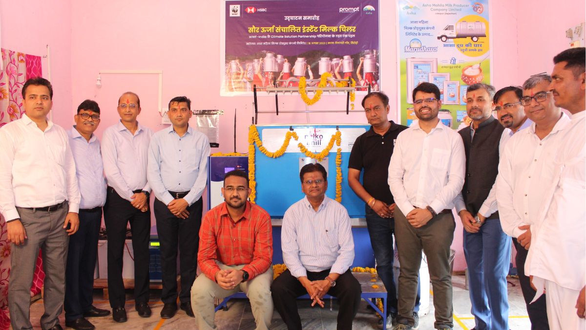 Solar MilkoChill Units by Prompt Group transform dairy quality and sustainability