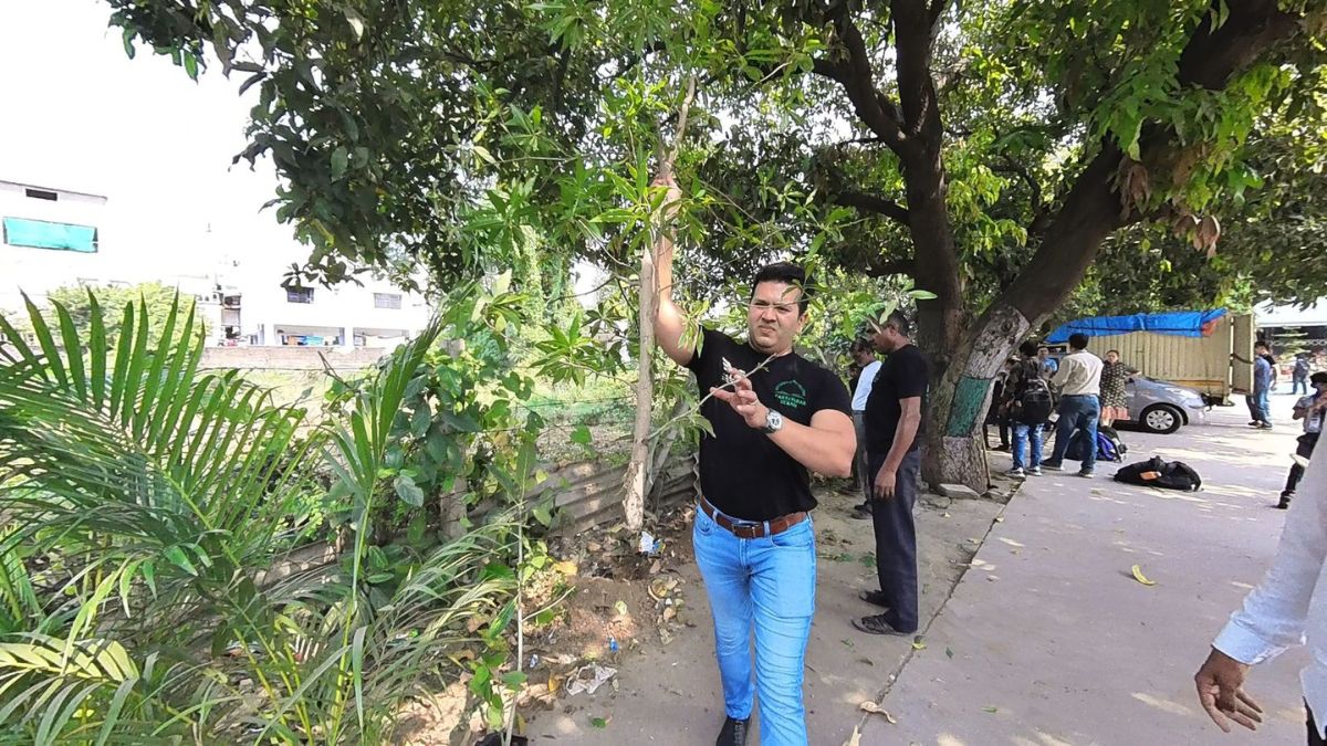 Surat: Green Man Viral Desai Leads ‘Mission Destruction’ to Eliminate Dangerous Trees 