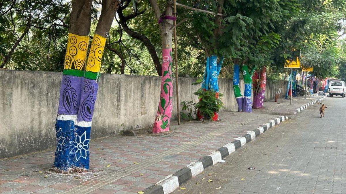 Surat : Home Minister draws flak for sharing pictures of Trees Painted for Beautification