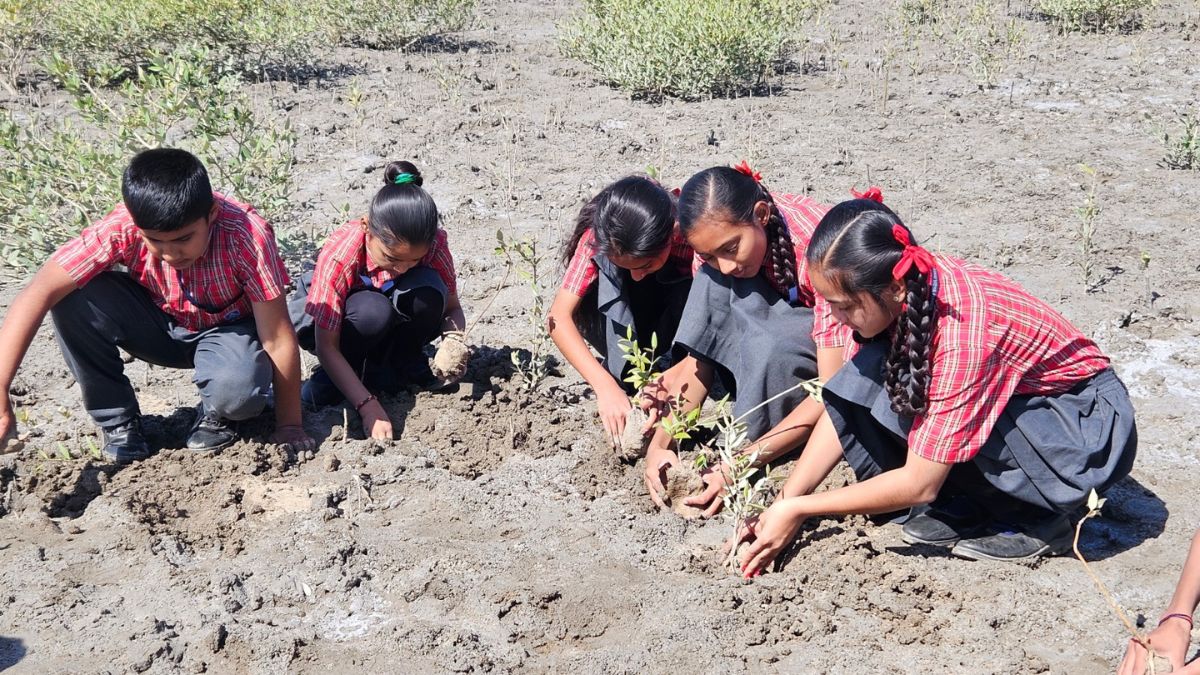 Gujarat : 600 students of Adani Vidya Mandir, Bhadreshwar, pledge to plant over 25,000 saplings