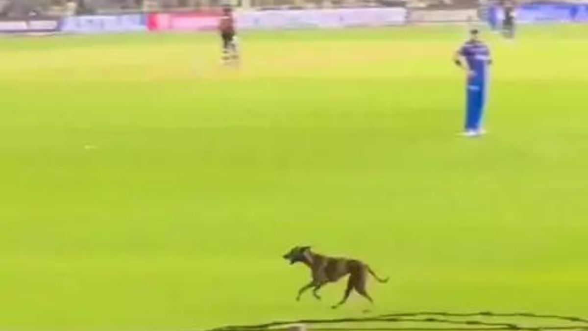 Stray Dog Interrupts IPL Match at Narendra Modi Stadium, Pandya Booed by Fans