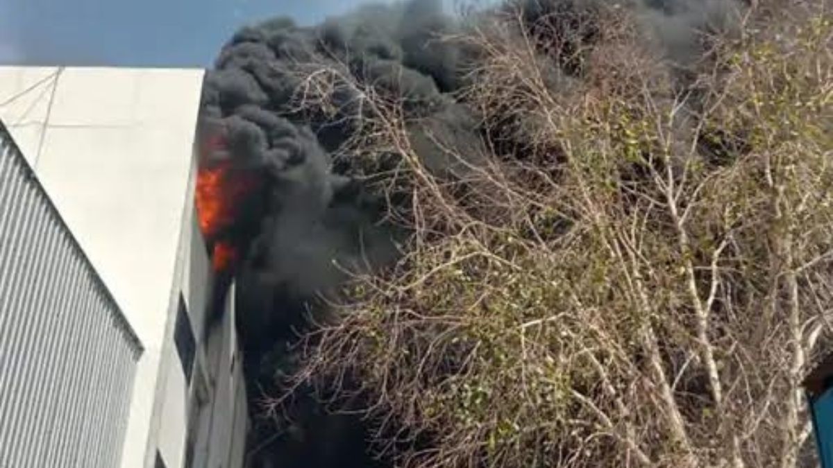 Gujarat News : Major Fire Guts Ice Cream Godown in Godhra, Fire Brigades Battle Blaze