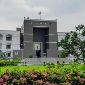 Gujarat High Court tree felling case, the blunt times