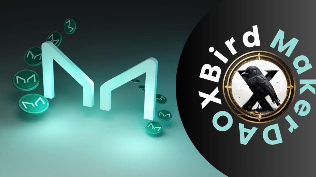 XBIRD: The Elon Musk Cryptocurrency Revolution Continues