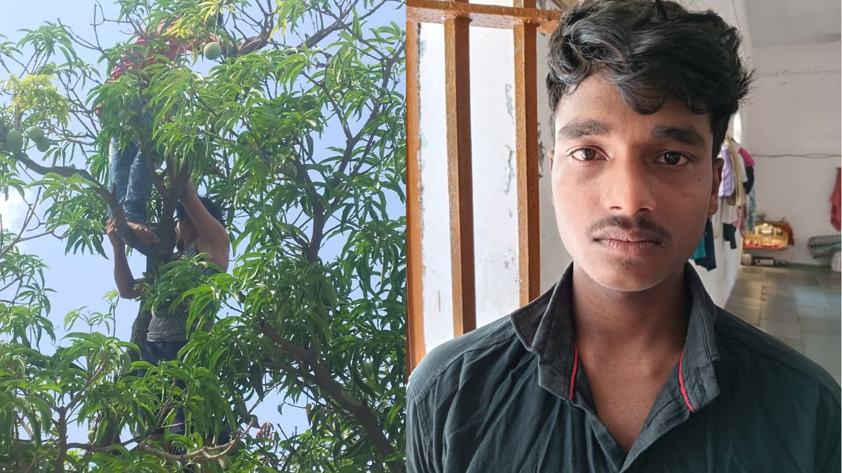 Mentally Ill Prisoner Climbs Mango Tree, Rescued After Hours