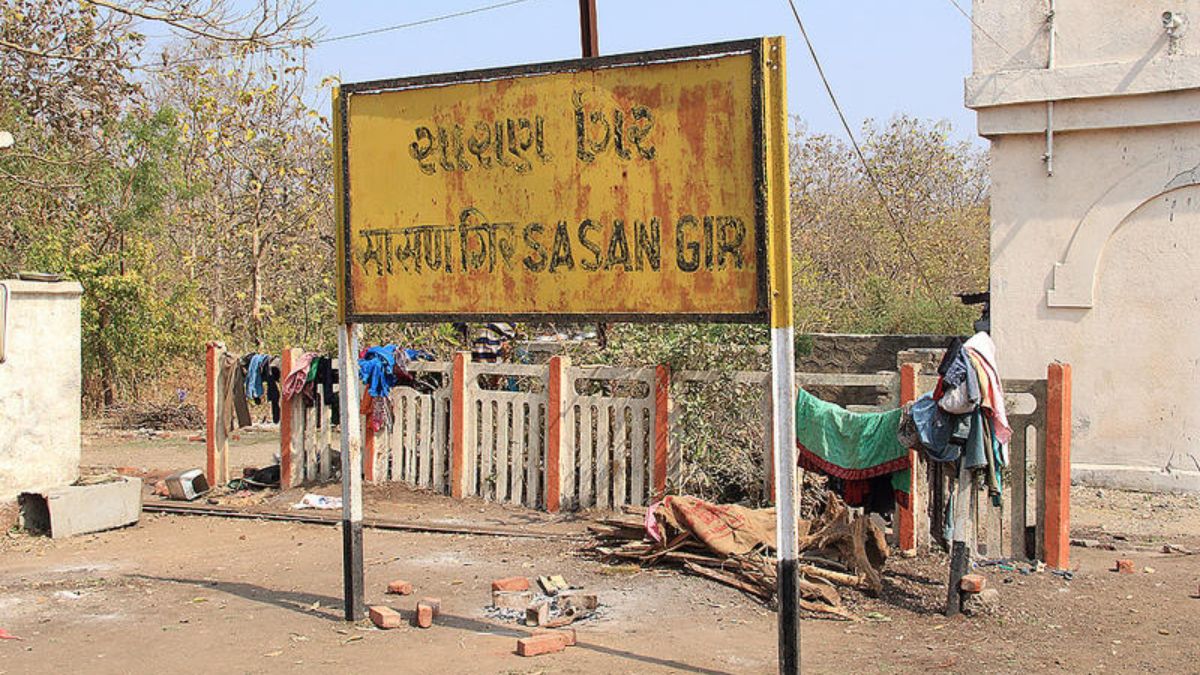 Gujarat : GST Department Raids 14 Resorts and Farmhouses in Sasan Gir for Tax Evasion