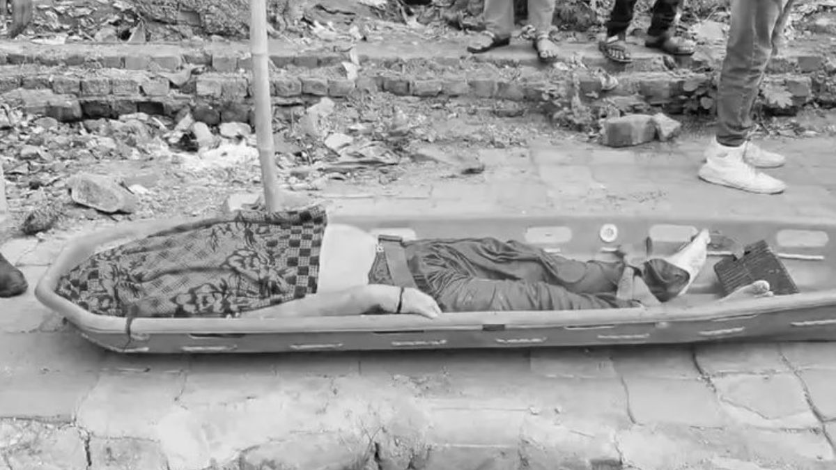 crocodile attack in vadodara, the blunt times