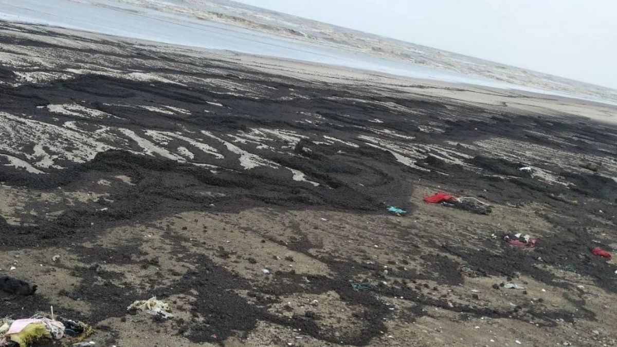 indian coast oil spill, the blunt times