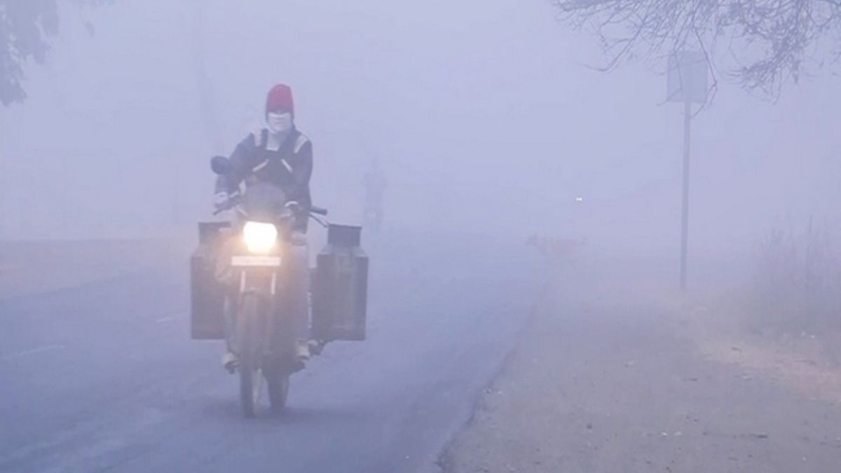Gujarat cold wave forecast, the blunt times