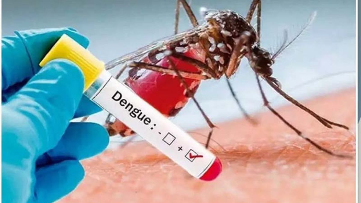 Dengue cases in Gujarat 2024, the blunt times