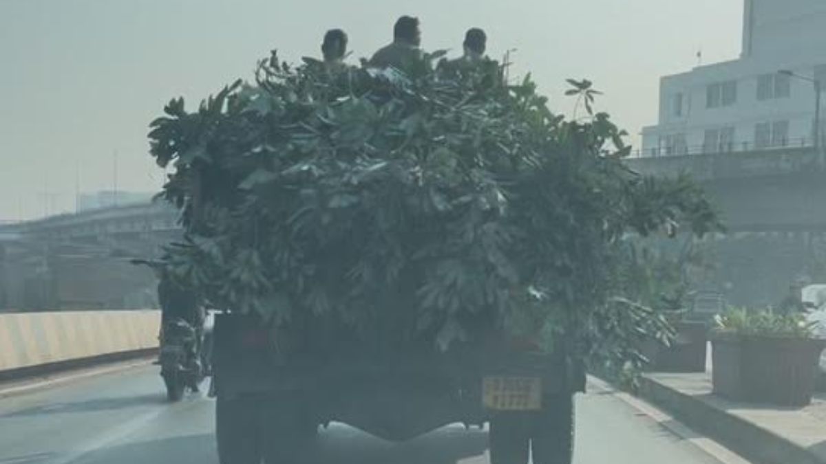 SMC traffic safety violation, the blunt times