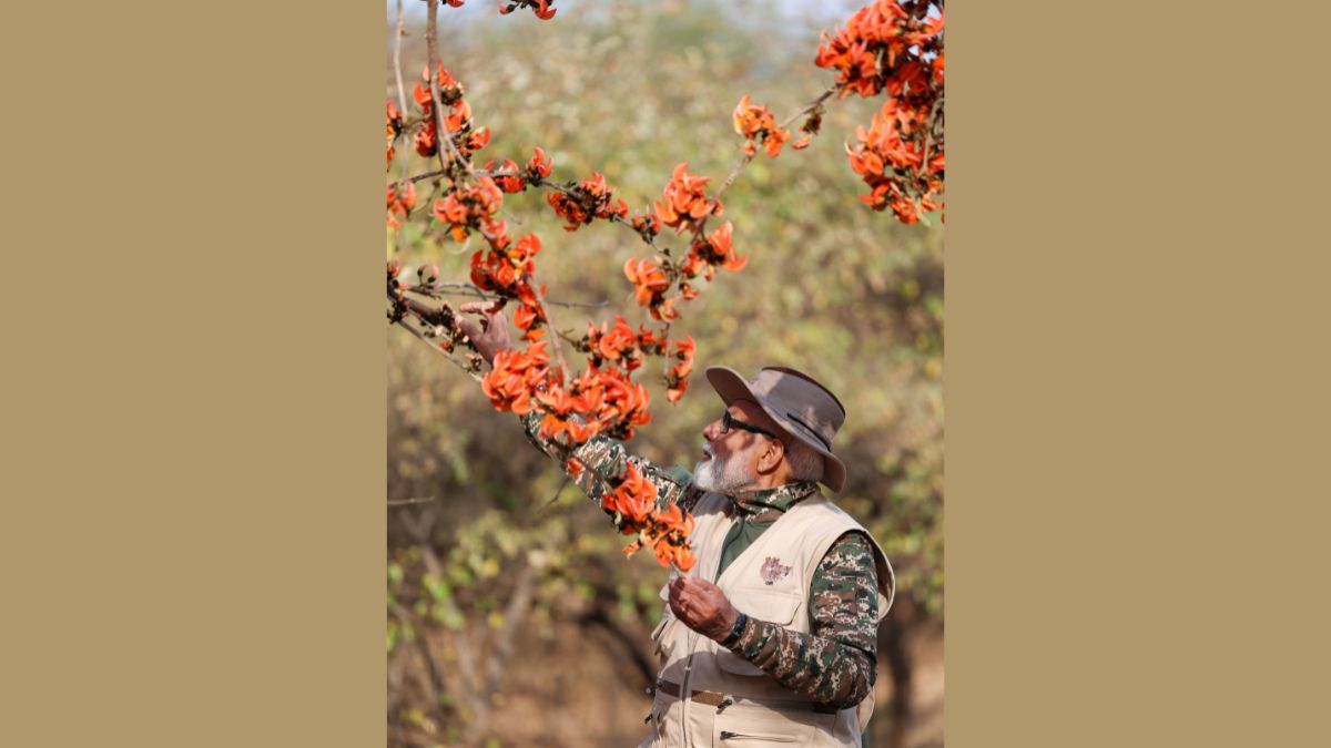 PM Modi Gir Safari, the blunt times 

