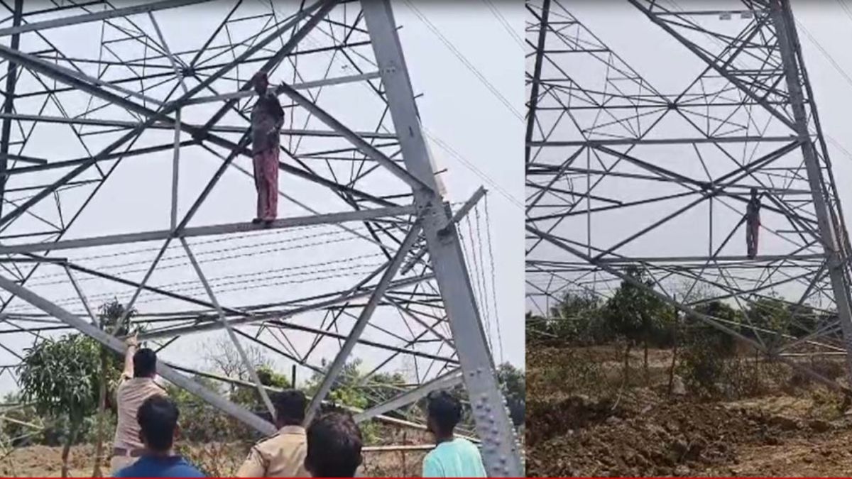 Drunk couple Navsari high-tension tower, the blunt times