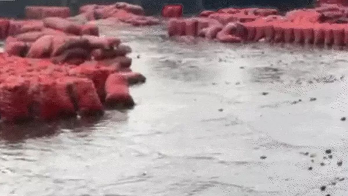 Unseasonal rains in Surat, the blunt times