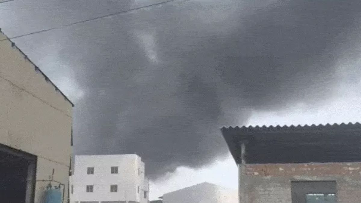 Vadodara PAB Organics fire Gujarat, the blunt times