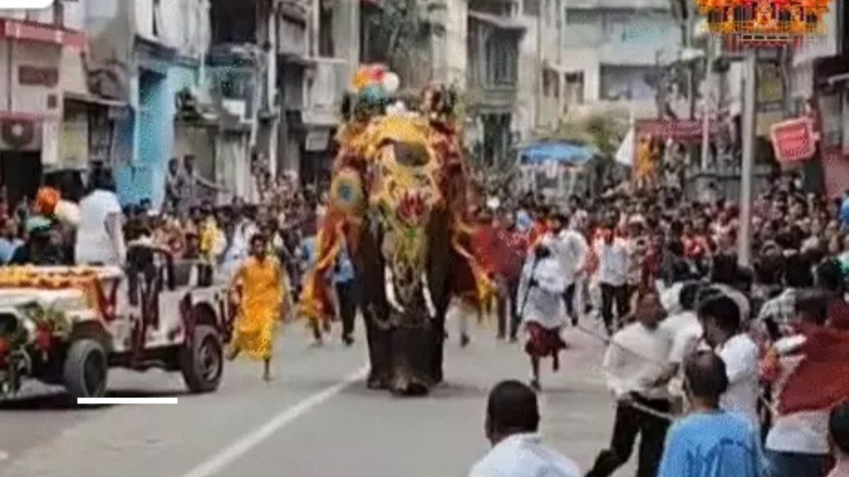 Rath Yatra elephant incident, the blunt times