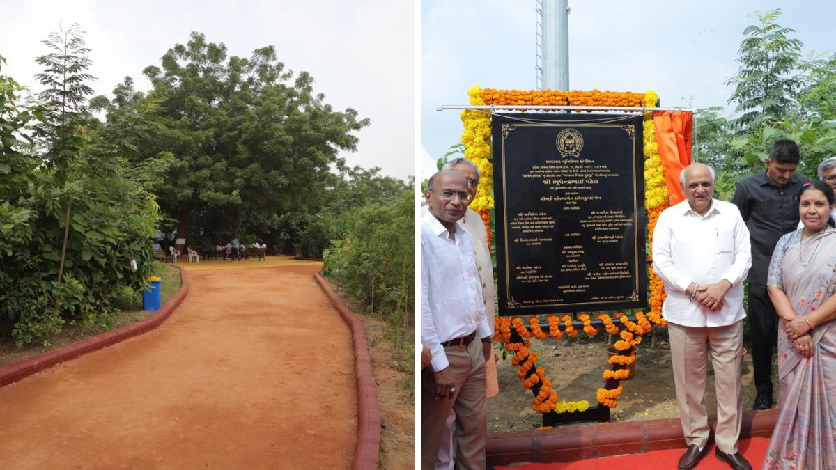 Urban Forest Park in Ahmedabad Gujarat, the blunt times