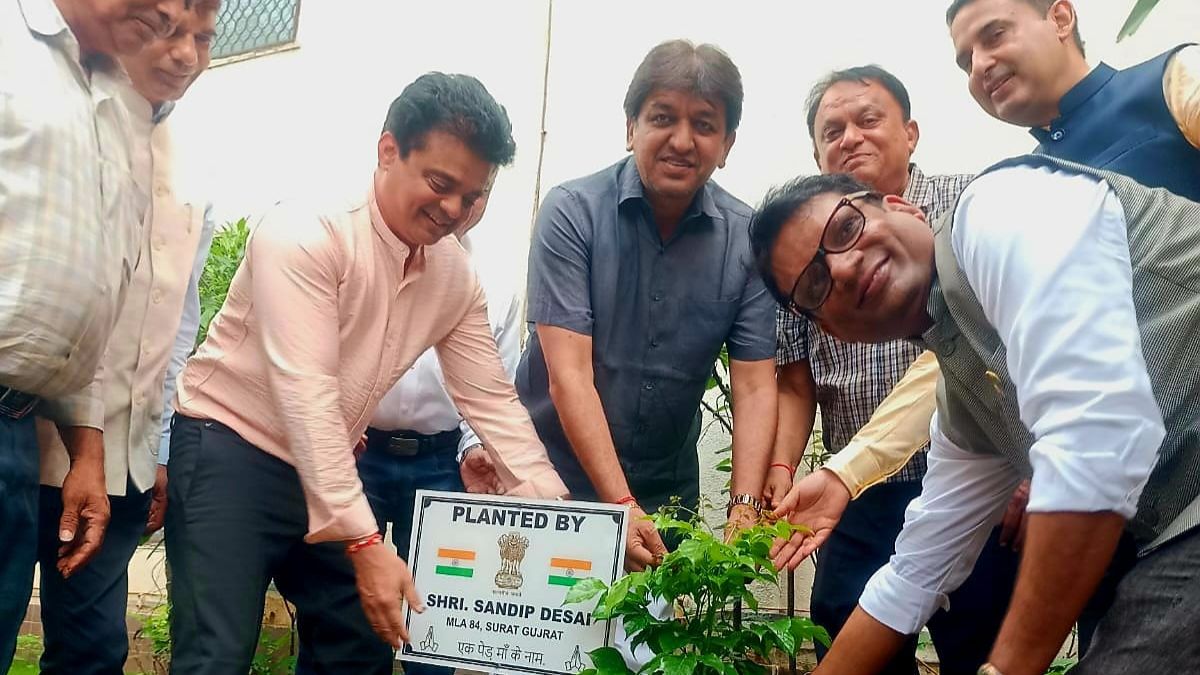 Tree plantation in Sachin SEZ Surat, the blunt times