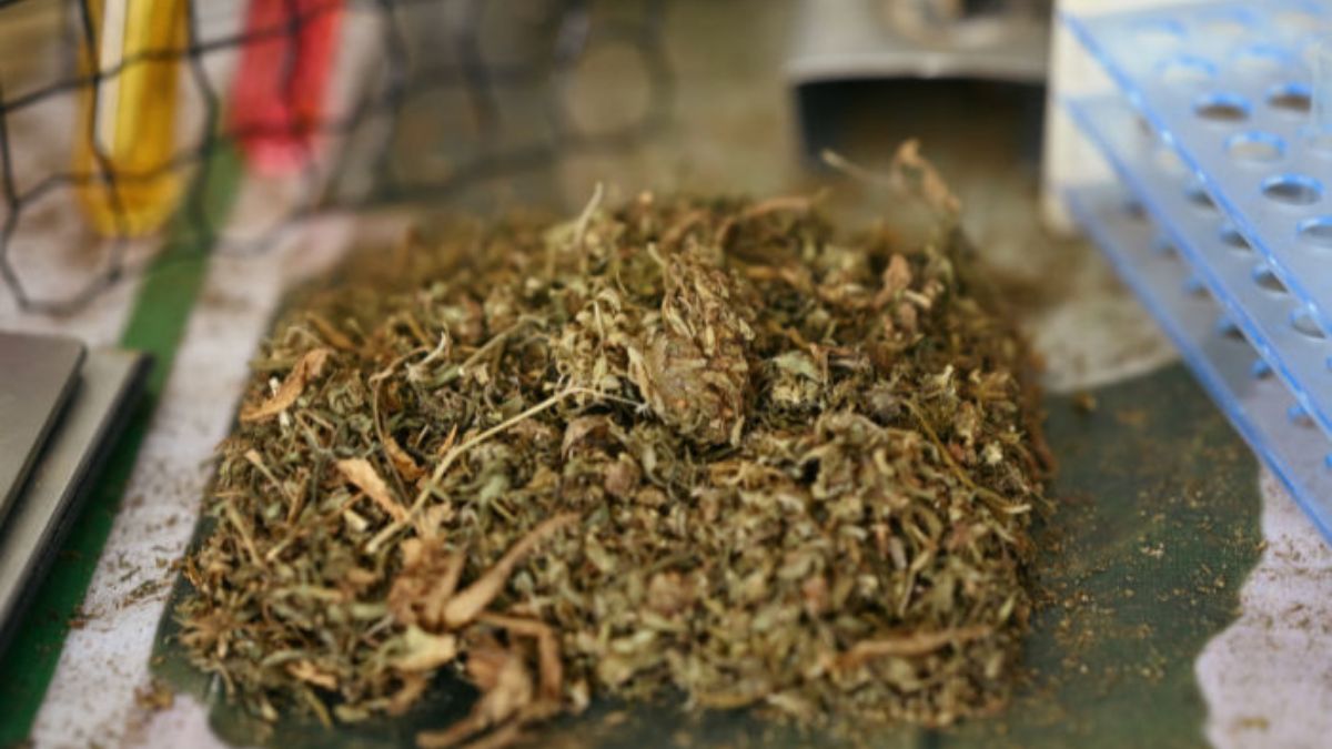 Ahmedabad Airport drug seizure, the blunt times