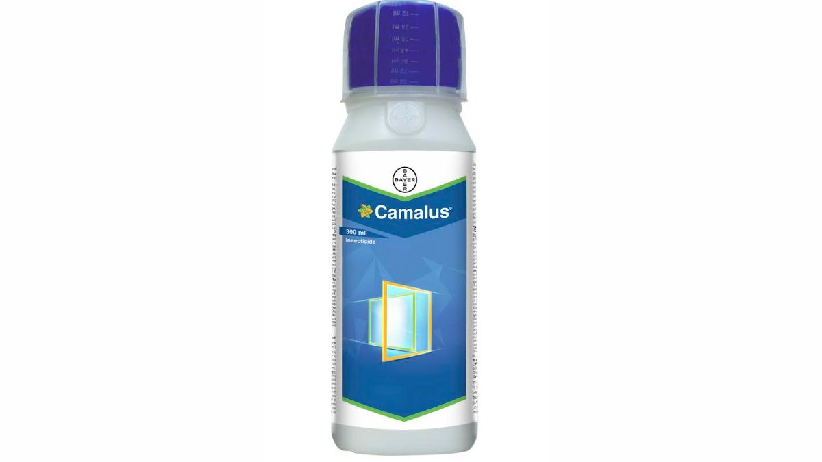 Bayer Camalus insecticide India, the blunt times