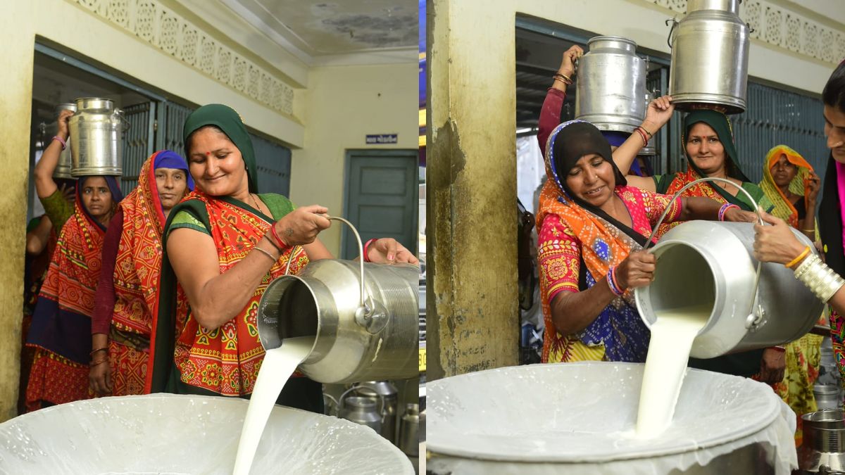 Women empowerment in Gujarat dairy cooperatives, the blunt times