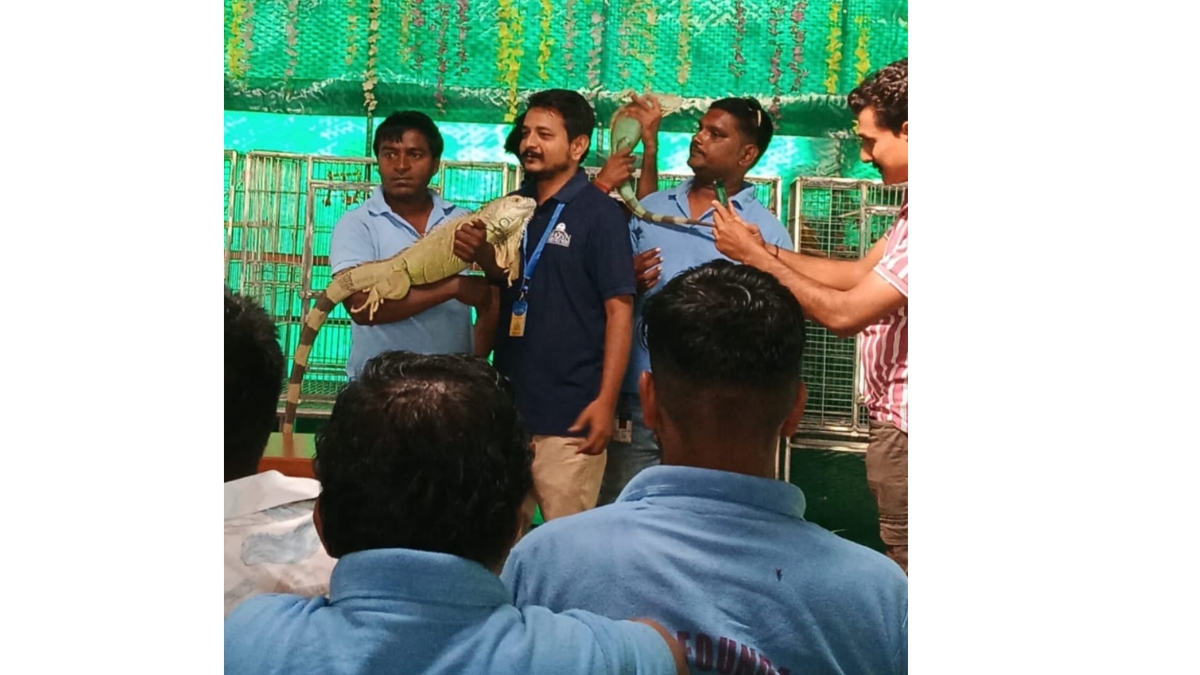 Dhun Charitable Trust, Dharmaj, and Daya Foundation, Karamsad Jointly Organize Unique Animal Welfare Program -tbt