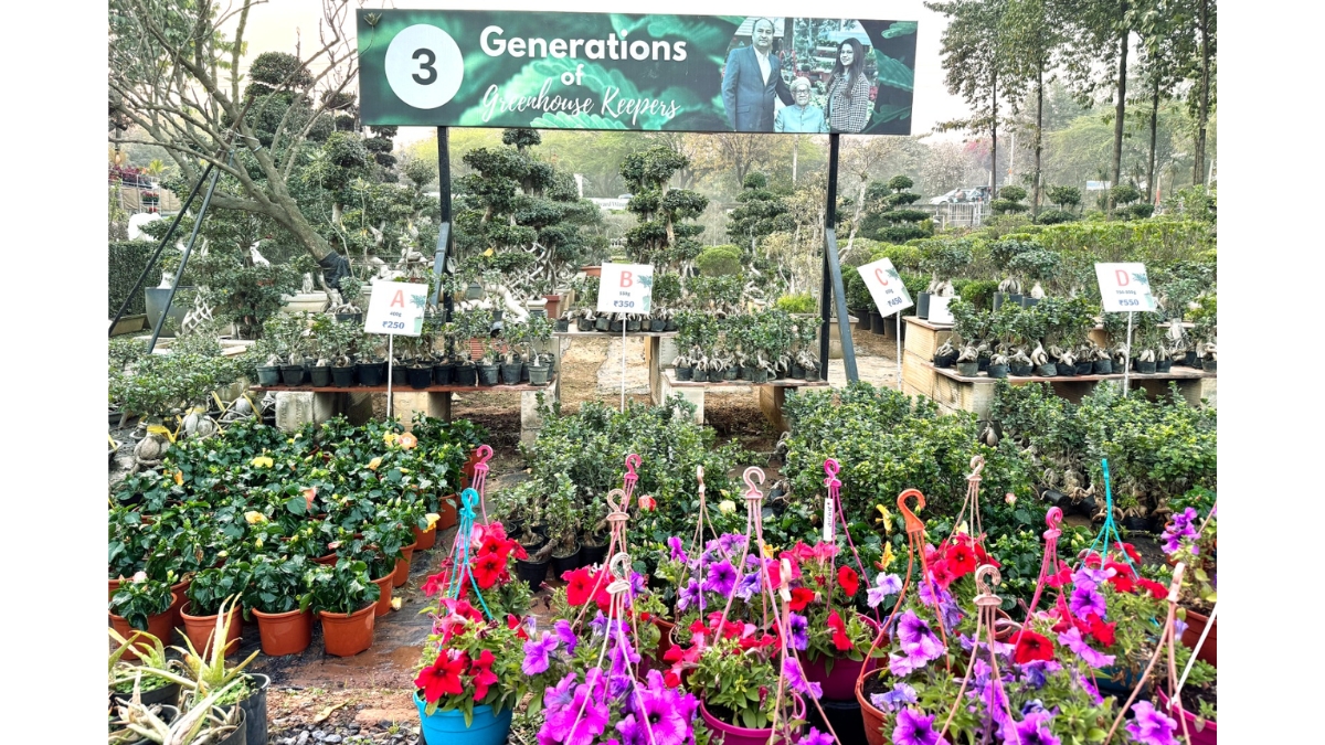 Greenways Nursery - TBT