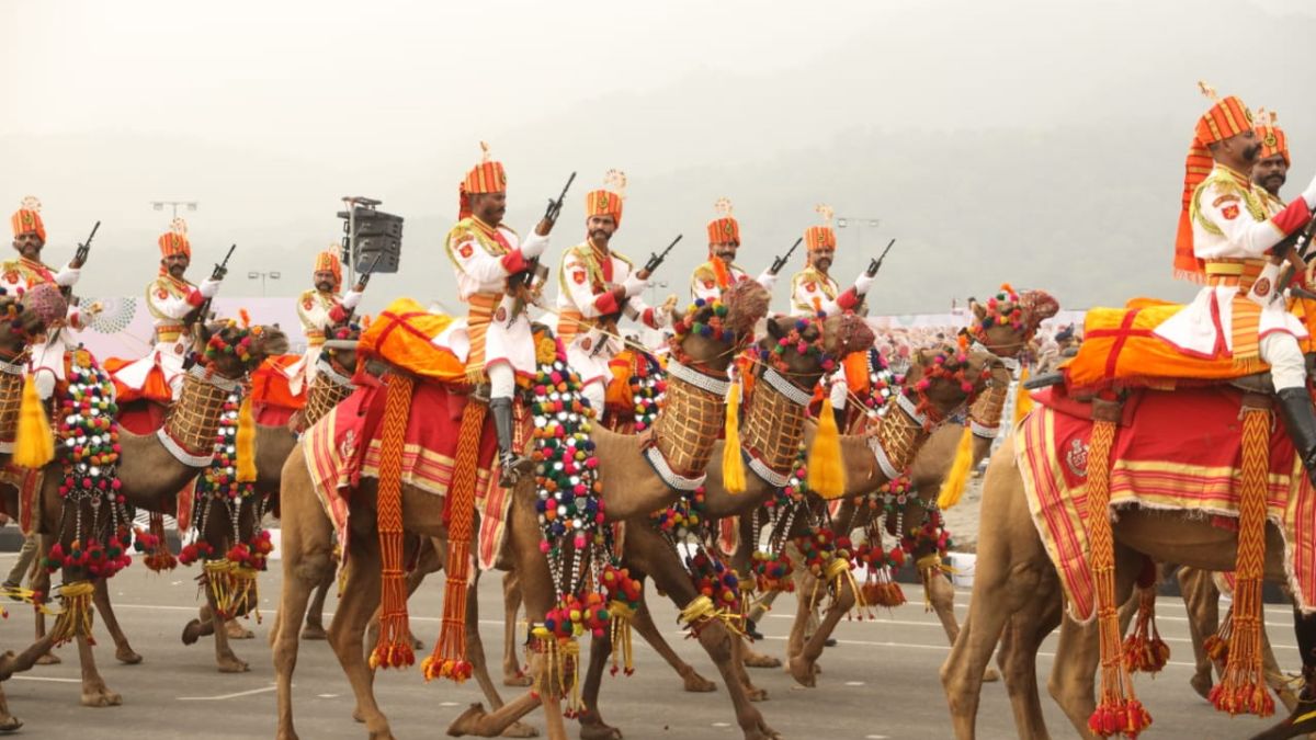 BSF Camel Contingent Ekta Parade Gujarat, the blunt times