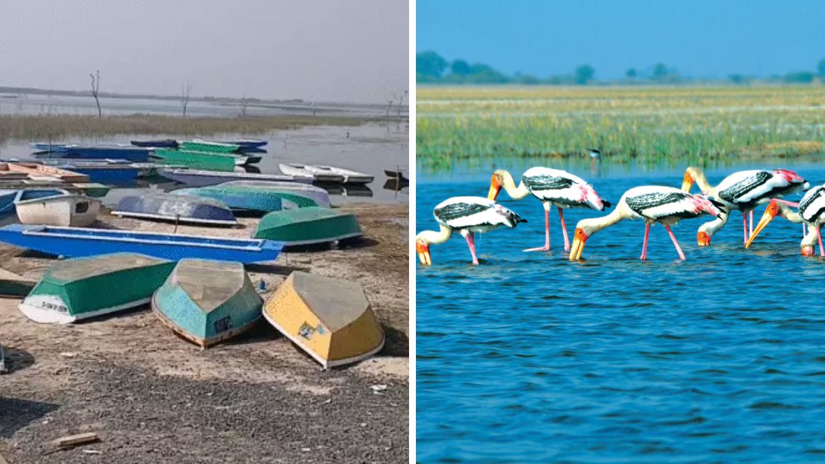 Nal Sarovar boating ban, the blunt times