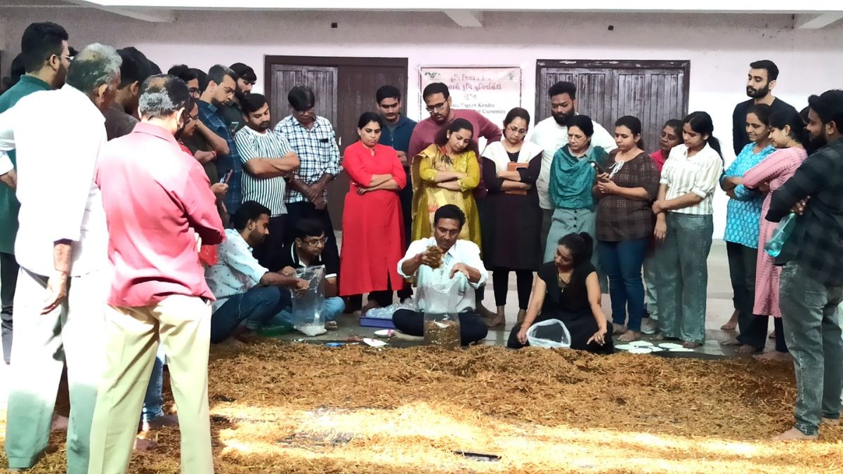 Mushroom cultivation in Surat, the blunt times