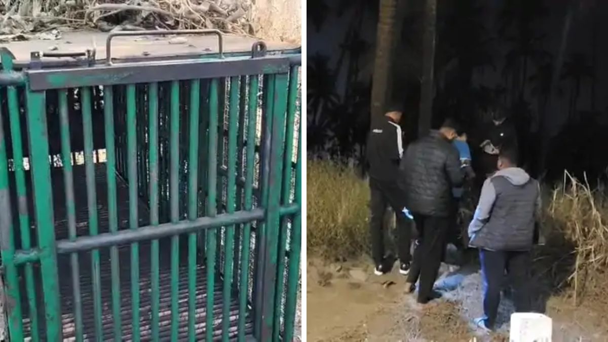 Leopard sighting in Daman, the blunt times