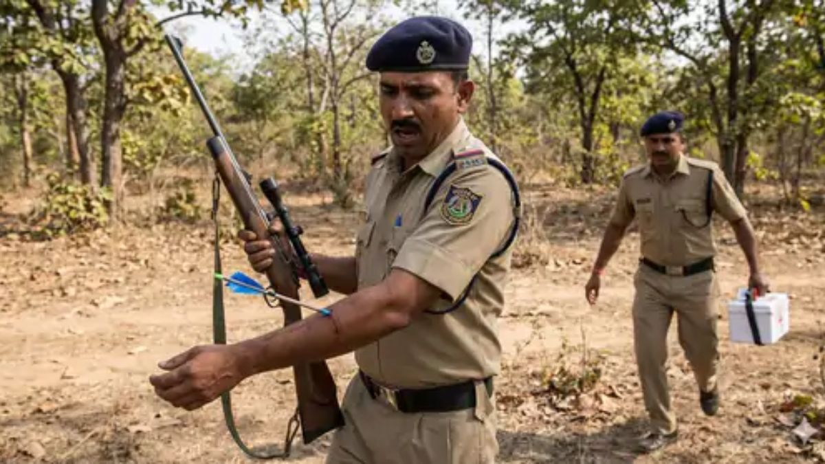 forest tracker killed by tranquiliser shot in Gujarat, the blunt times