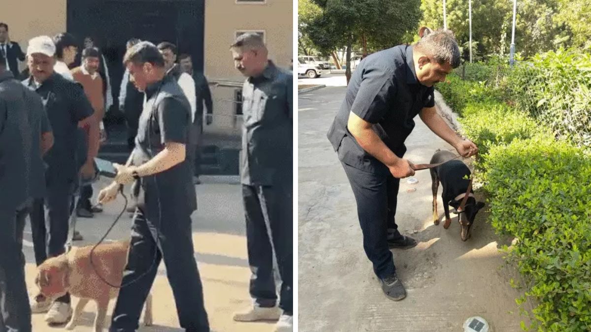 Gujarat court bomb threat emails, the blunt times