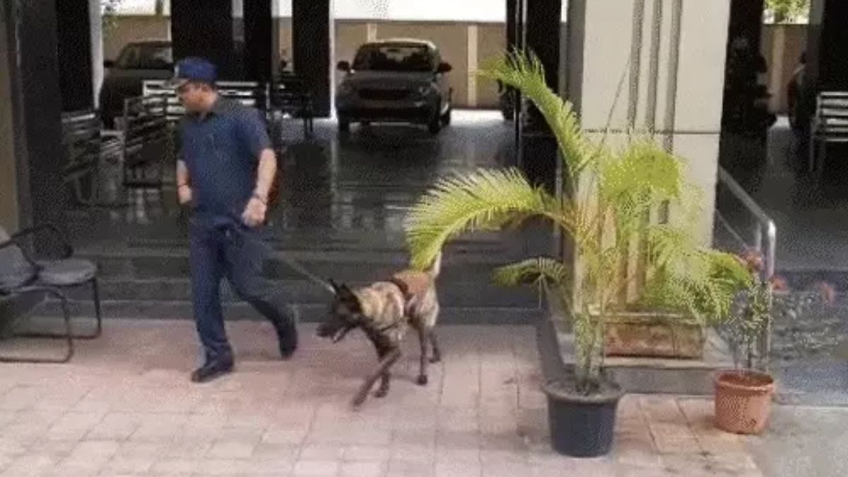 Gujarat bomb threat emails, the blunt times