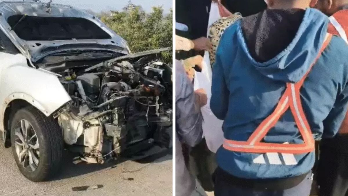 Leopard killed on Delhi-Mumbai Expressway, the blunt times