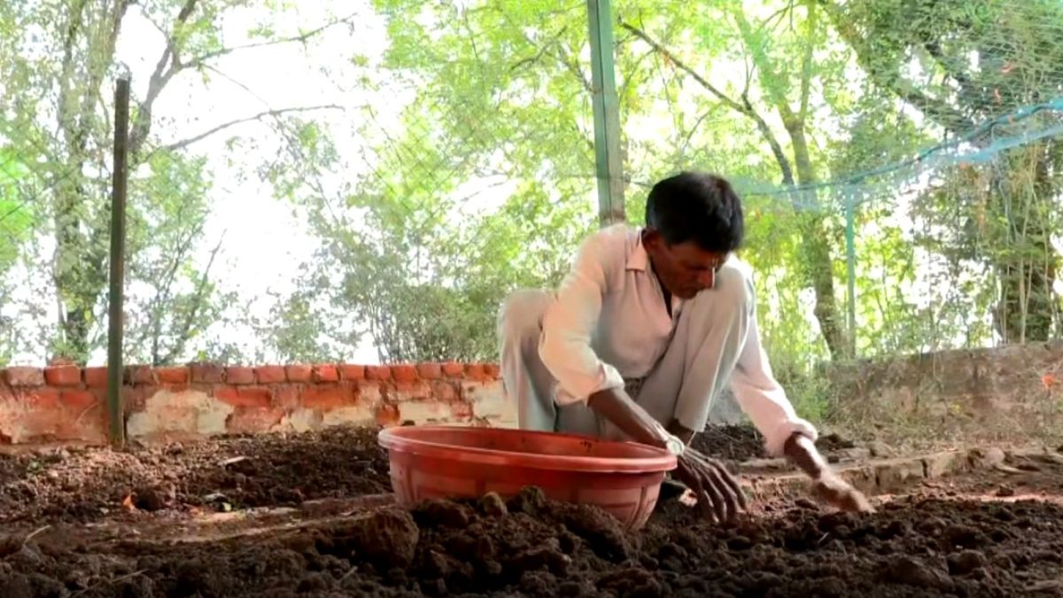 Institutional biogas plants in Gujarat, the blunt times