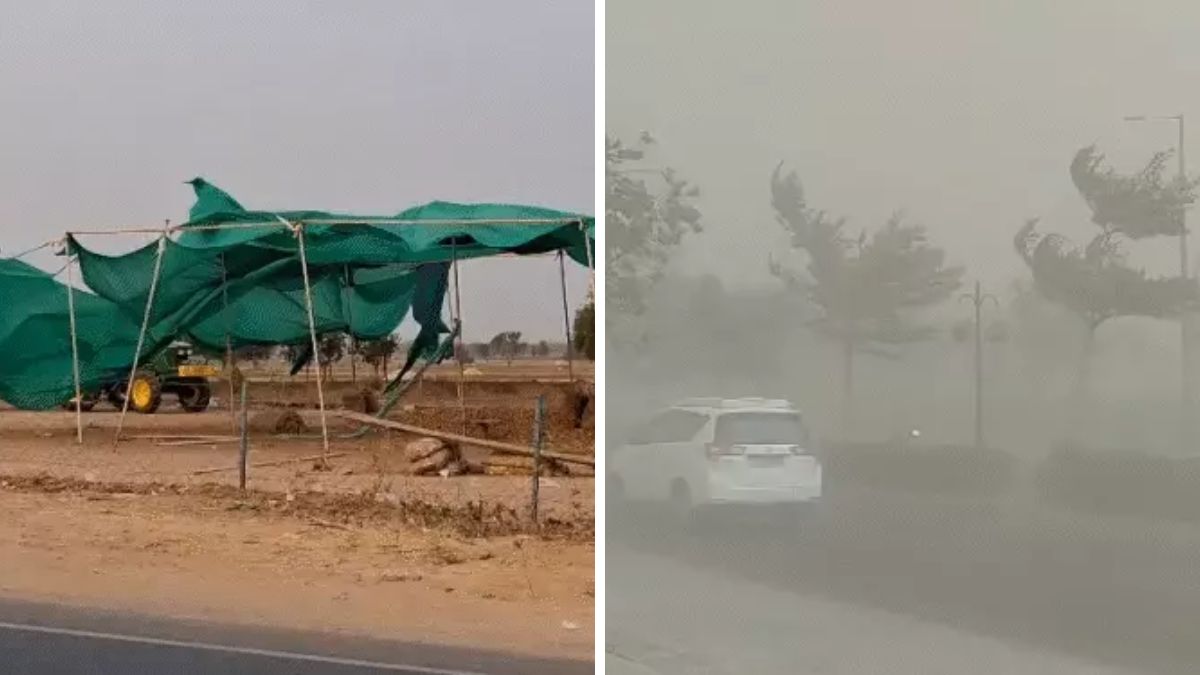 Gujarat unseasonal rain and storm, the blunt times