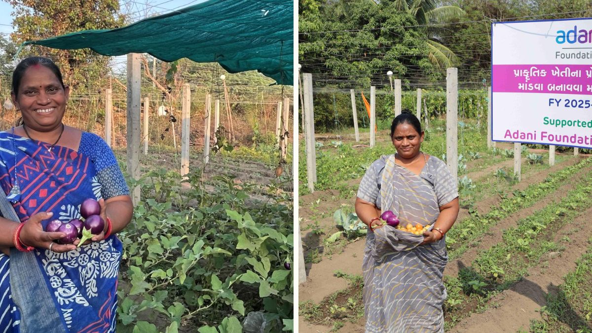 Kailashben Patel natural farming Surat, the blunt times