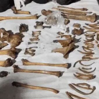 Ahmedabad 1992 murder case solved, the blunt times