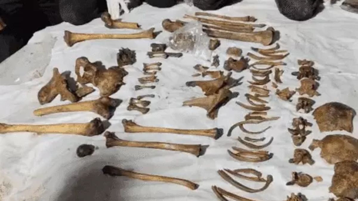 Ahmedabad 1992 murder case solved, the blunt times