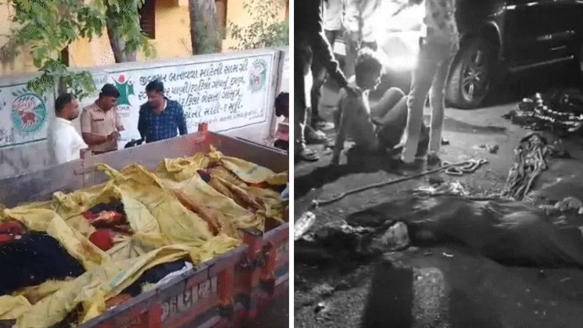 Gujarat highway accident Lakhtar Viramgam, the blunt times