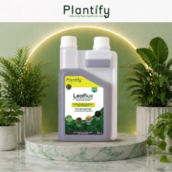 Plant