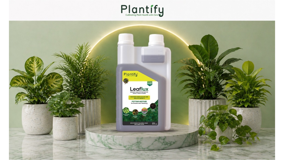 Plant
