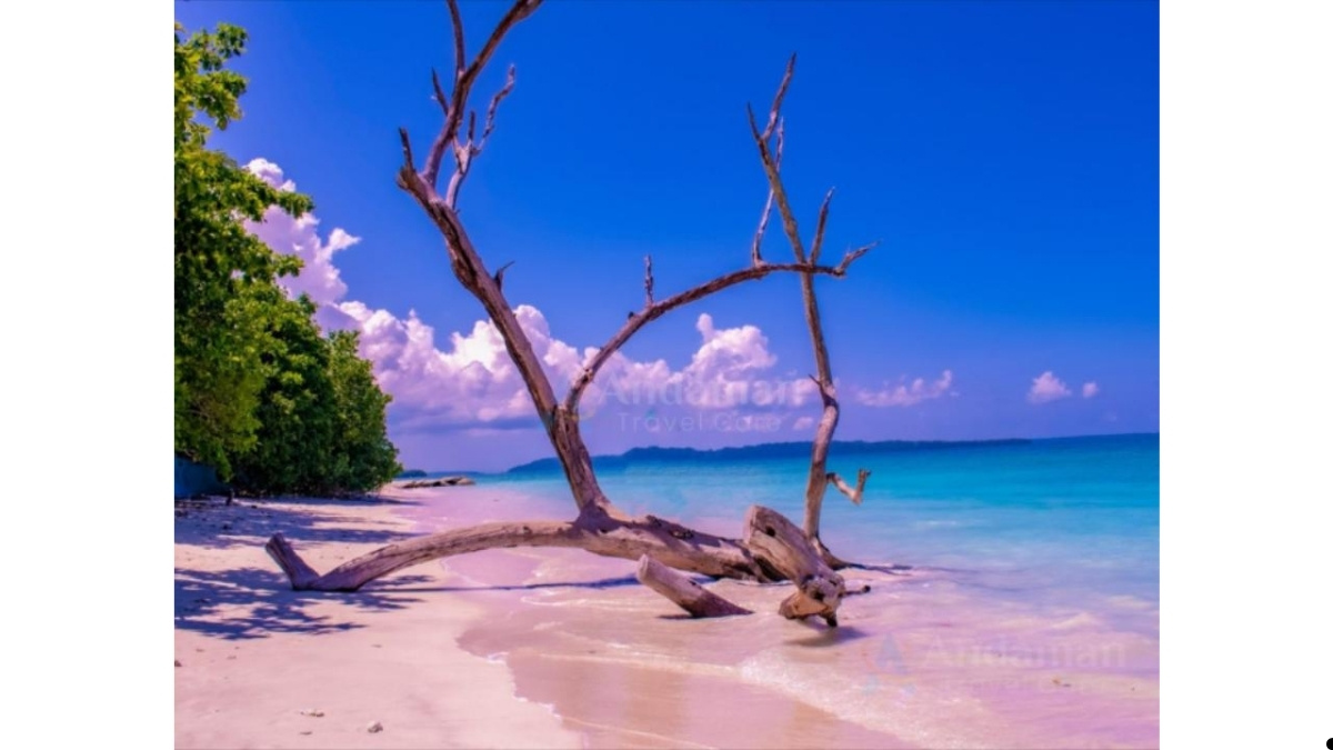 Andaman Travel Care Recognized for Customized Andaman Tour Packages and Honeymoon Travel Experiences Andaman Travel Care Recognized for Customized Andaman Tour Packages and Honeymoon Travel Experiences-PNn