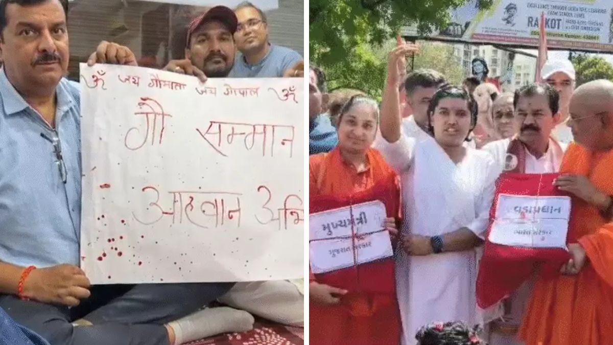 Surat cow Rashtramata campaign, the blunt times