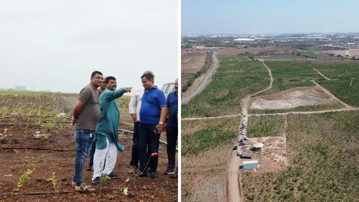 Namo Van Morbi Gujarat, the blunt times
