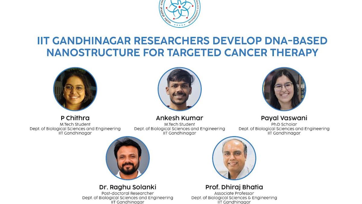 DNA nanostructure cancer therapy, the blunt times