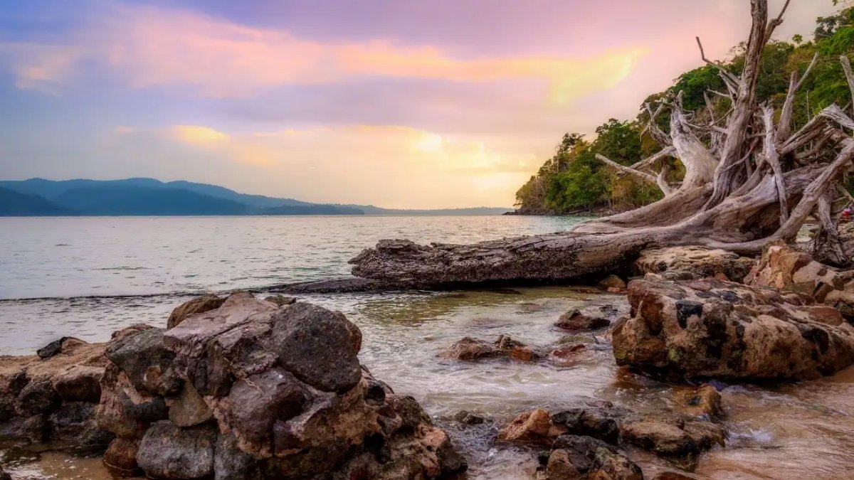 Andaman Packages from Vizag: Your Complete Island Getaway Guide-PNn