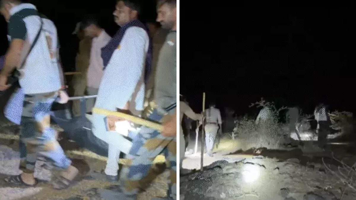Gujarat Amreli lion attack, the blunt times