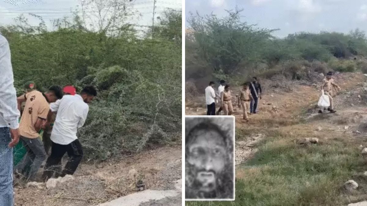 Gujarat : Lion Tears Apart Migrant Worker in Amreli, Fear and Fury Erupt in Villages Near Gir Lion attacks a man in Amreli Gujarat, the blunt times